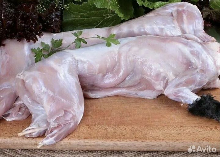 Мясо кролика