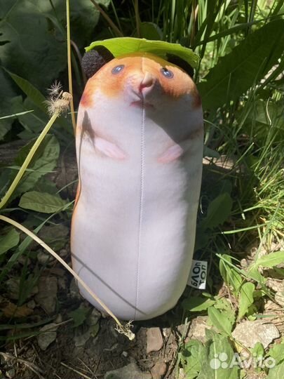 Сирийский хомяк