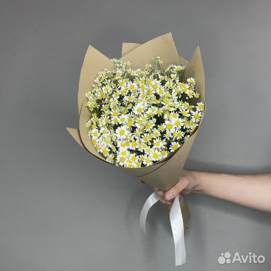 Ромашка прекрасные