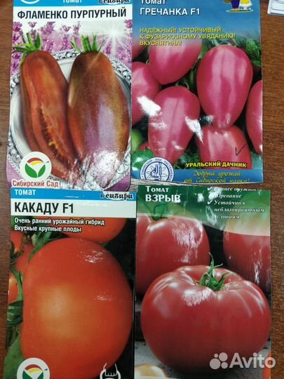 Рассада томатов (тепл.,грунт.)в связи с переездом