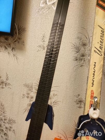 Беговые лыжи delta