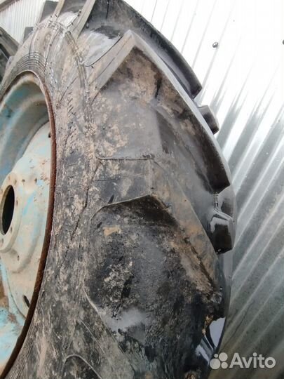 Колеса на трактор мтз