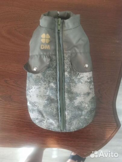 Одежда для собак