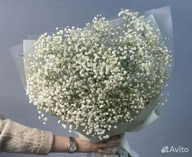 Композиция из гипсофилы