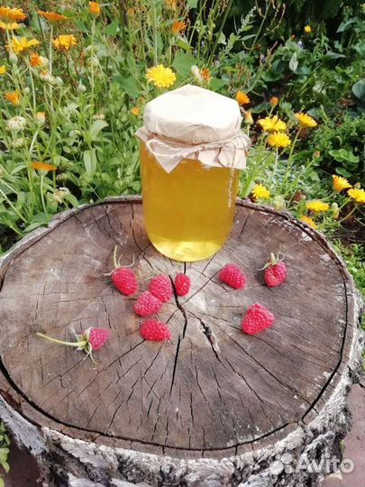 Липовый Мёд 2023