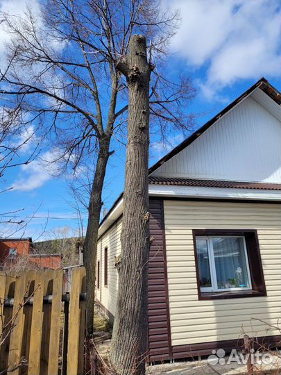 Спиливание,кронировани,измельчение деревьев