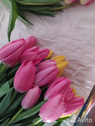 Тюльпаны к 8 марта