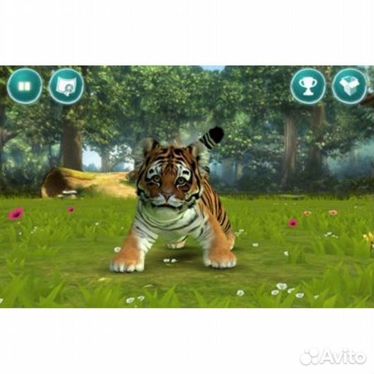 Xbox 360 Kinectimals б/у