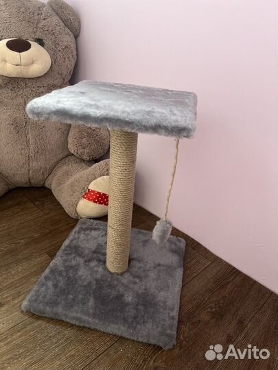 Когтеточка для кошек новая