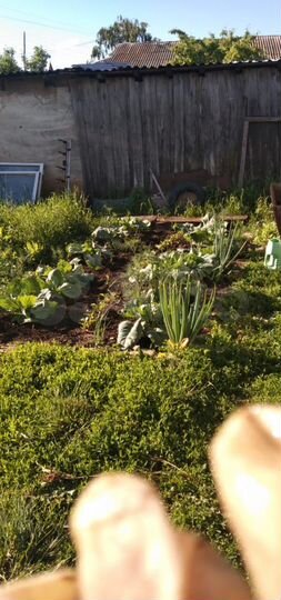 Дом 36 м² на участке 8 сот.