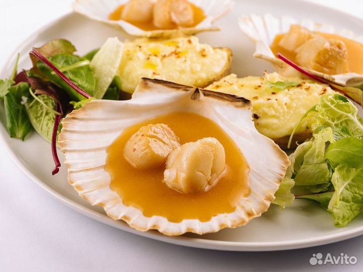 Морской гребешок