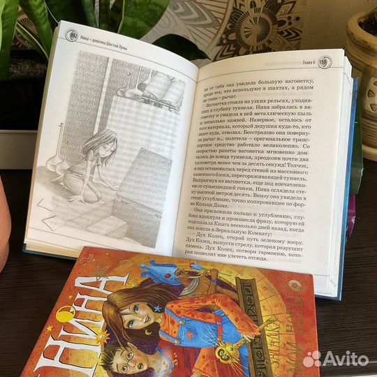 Серия книг «Нина»