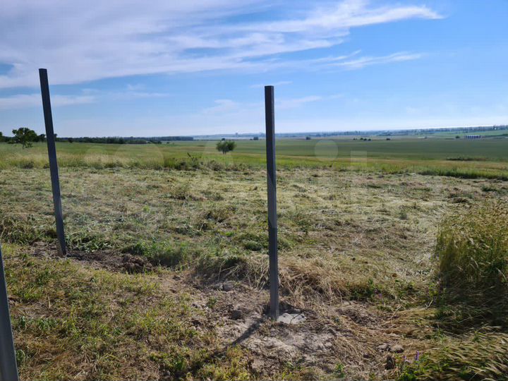 Участок 8 сот. (СНТ, ДНП)