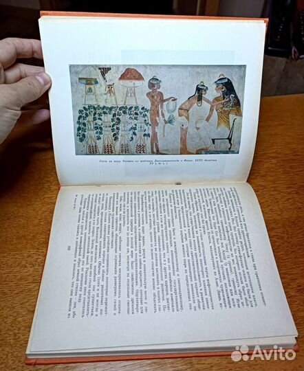 Книги по древним культурам бронь