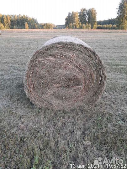 Сено в рулонах