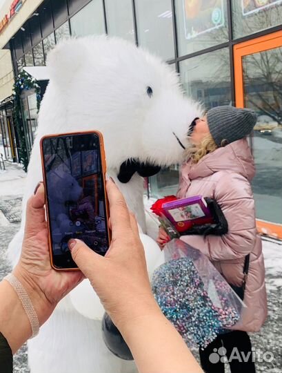 Белые Медведи - Шуточный Стриптиз