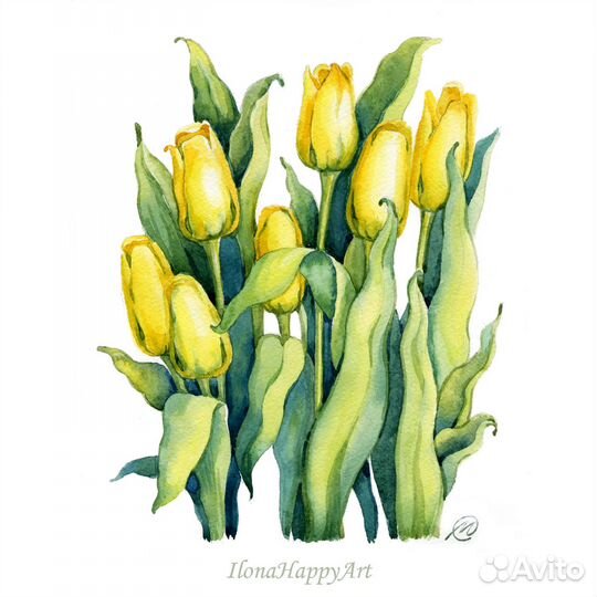 Картина акварель желтые тюльпаны