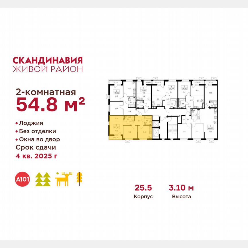2-к. квартира, 54,8 м², 10/12 эт.