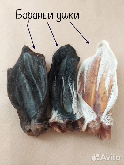 Лакомства для собак