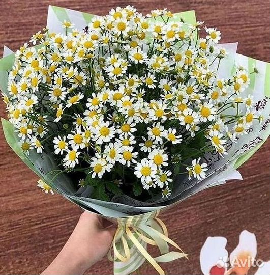 Ромашки Пионы Розы Доставка