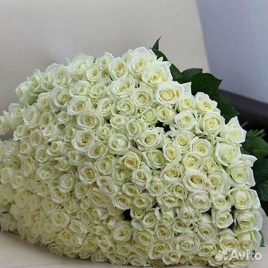 Длинные высокие розы 110 150 160 180 200 см