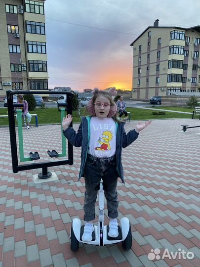 Segway ninebot s pro