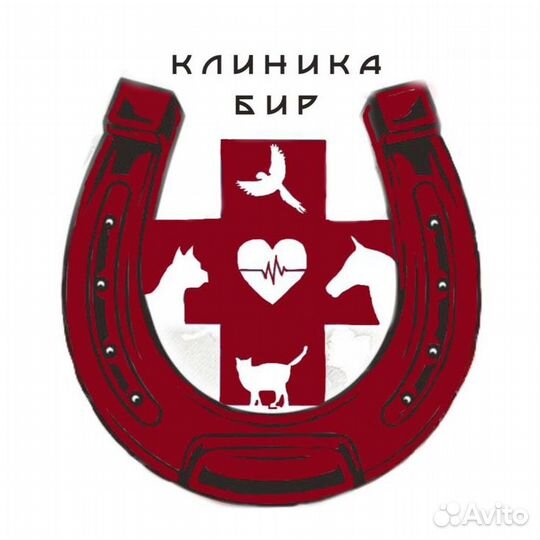 Ветеринар 24/7