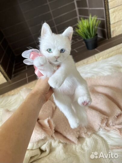 Котенок Алиса.Реалистичная подвижная игрушка