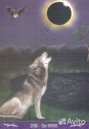 Сдвоенное таро