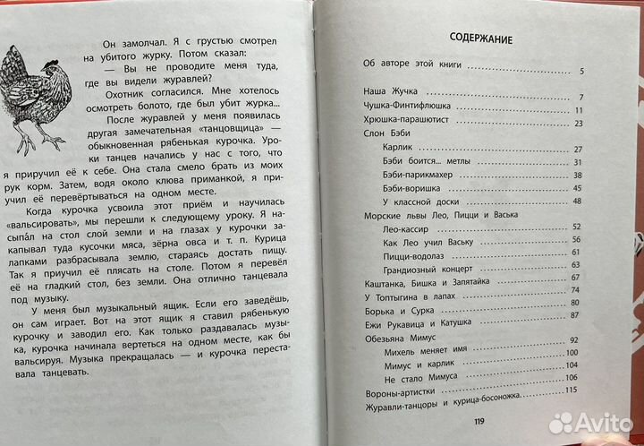 Литература для младшего школьного возраста