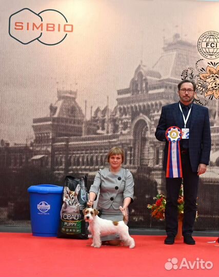 Услуги Хендлера