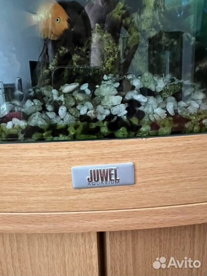 Аквариум с тумбой juwel 190