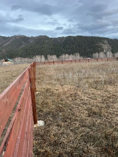 Участок 10 сот. (СНТ, ДНП)