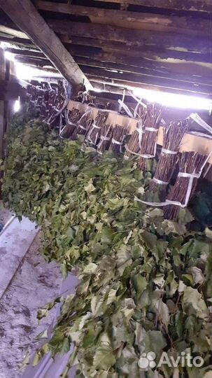 Веники пихтовые,можжевеловые