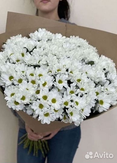 Хризантема Доставка цветов Букеты
