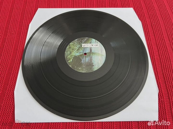 Volen Sentir Neunivai 12” vinyl Shanti Radio
