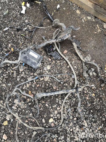 Проводка моторная Рио 3 солярис 1