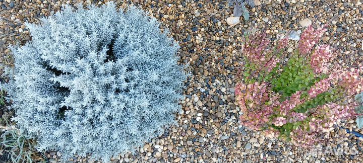 Галька речная