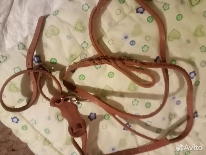 Намордник шлейка поводок Лотки-туалеты триммер