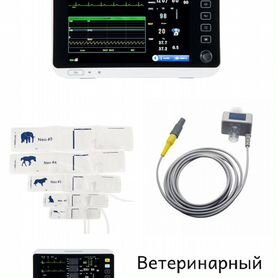 Ветеринарный монитор пациента