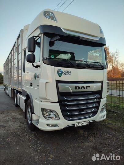 Водитель категории е (скотовоз крс)