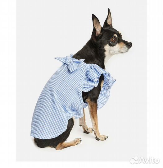 Платье для собак 25