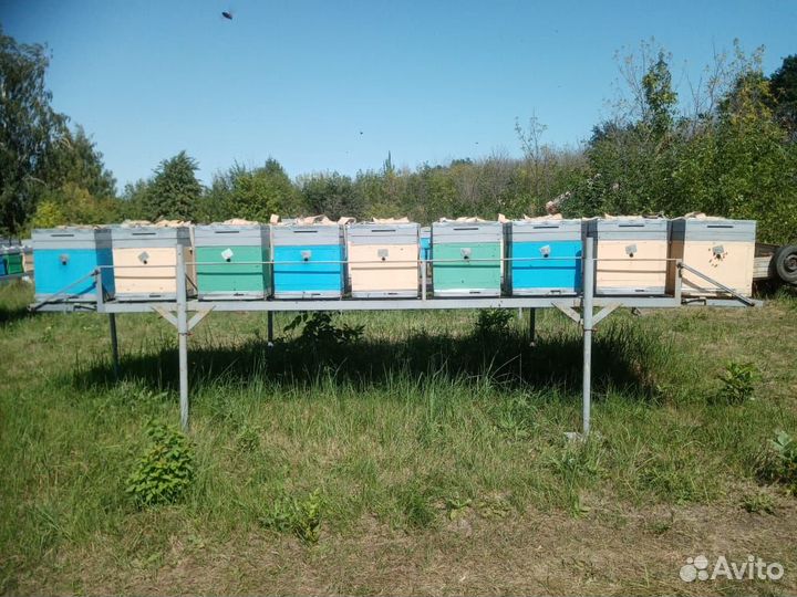 Модуль-платформы для перевозки пчел