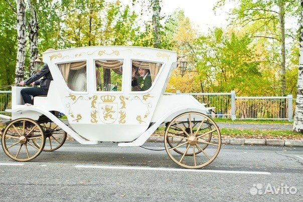 Карета для лошади