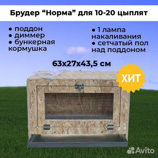 Брудер для цыплят