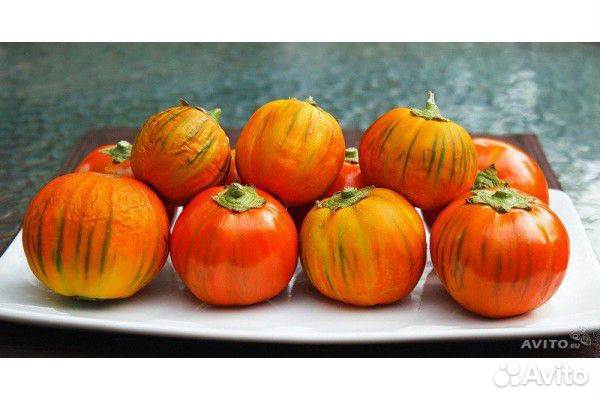 Семена баклажана