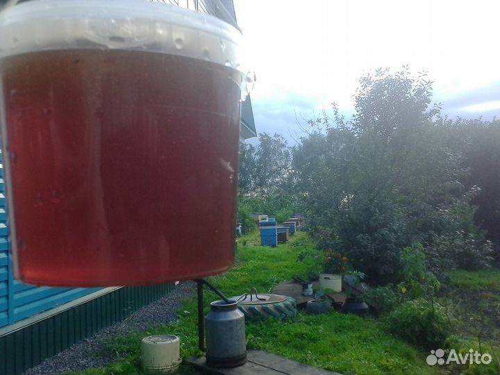 Мёд Алтайский цветочный/разнотравье/гречиха