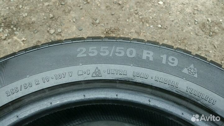 Continental ContiWinterContact TS 830 P 255/50 R19 107V