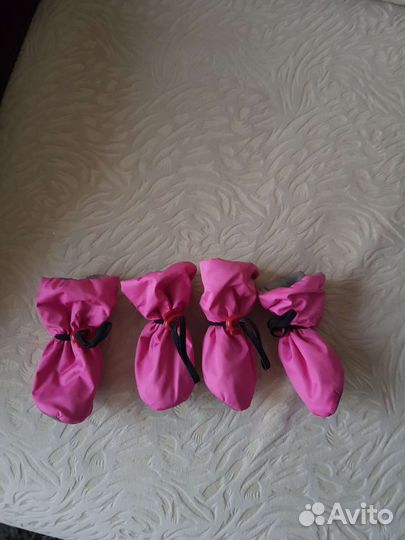 Тапочки для собак