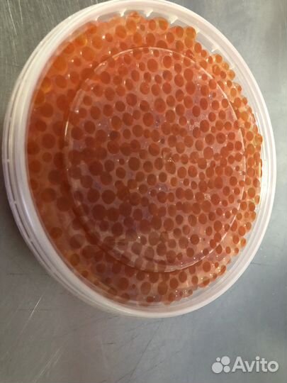 Икра красная 2023 год вылова